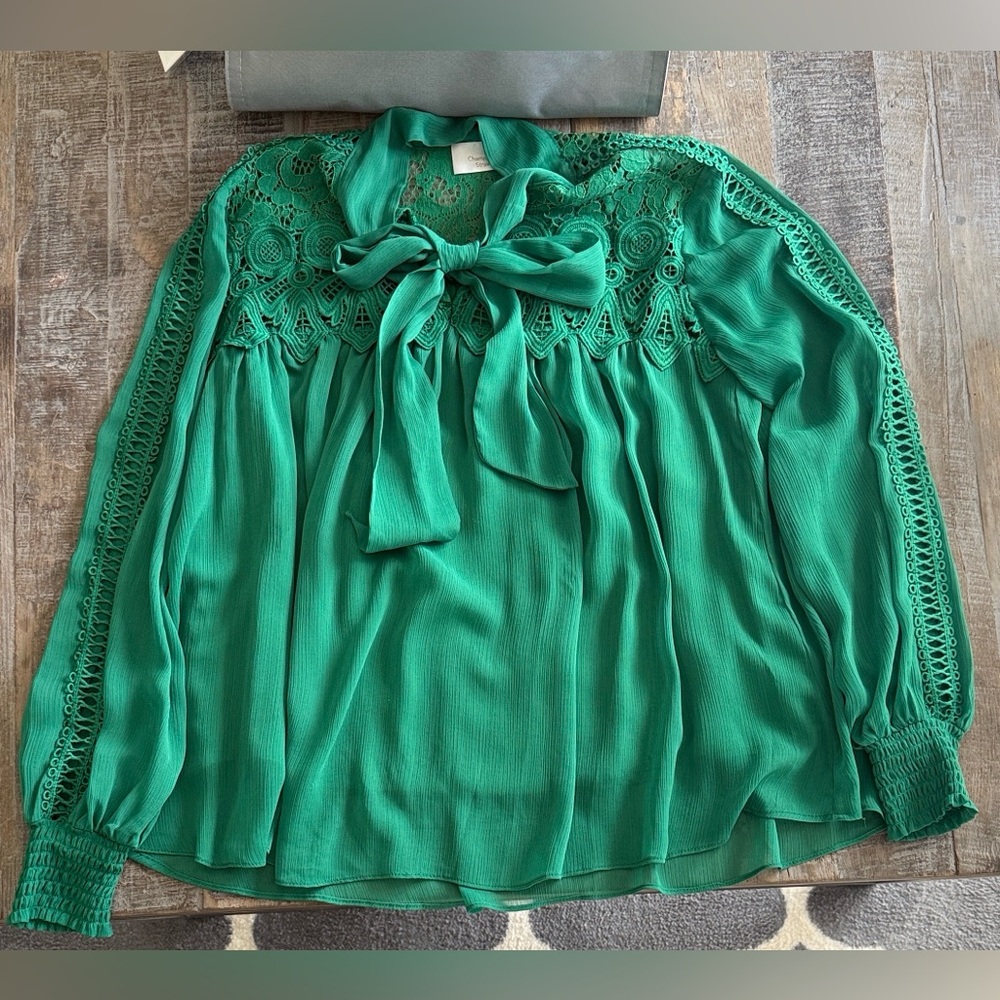 Champagne & Strawberry Blouse Green Size Small